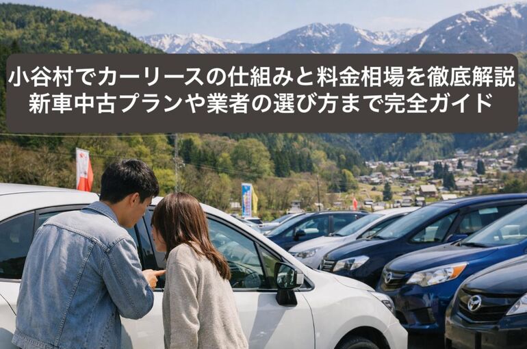 28 小谷村 カーリース